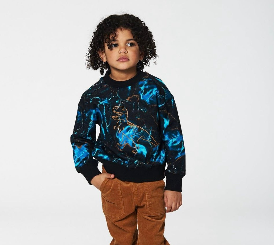 Printed Fleece Sweatshirt in Blue Storm with bold dinosaur graphic and allover print. Made from cozy cotton/poly fleece, featuring long sleeves, a crew neckline, and rib knit trim. A vibrant and comfy pullover that's sure to become a favorite!